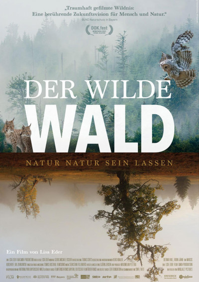 Szene aus Der Wilde Wald - Natur Natur sein lassen