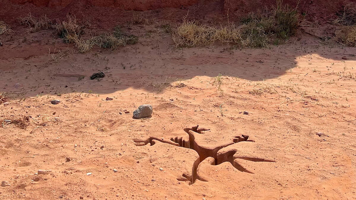 Szene aus Coyote vs. Acme